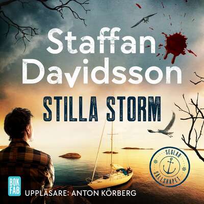 Stilla storm - Staffan Davidsson.