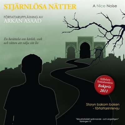 Stjärnlösa nätter - Arkan Asaad.