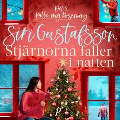 Stjärnorna faller i natten