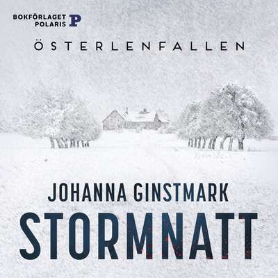 Stormnatt - Johanna Ginstmark.