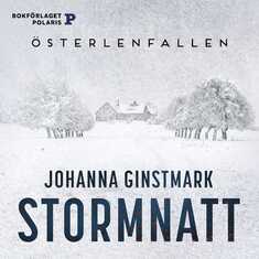 Stormnatt