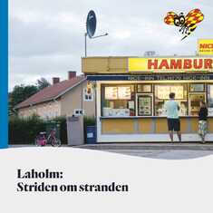 Striden om stranden