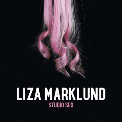 Studio sex - Liza Marklund.