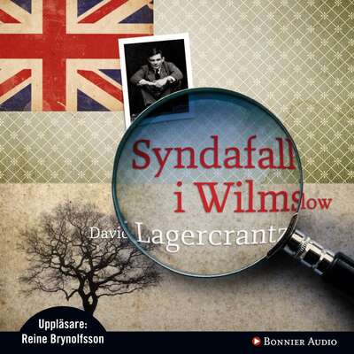 Syndafall i Wilmslow - David Lagercrantz.