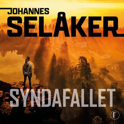 Syndafallet - Johannes Selåker.