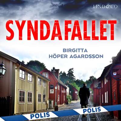 Syndafallet - Birgitta Höper Agardsson.