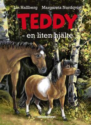 Teddy - en liten hjälte - Lin Hallberg.