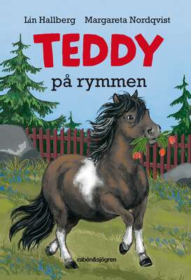 Teddy på rymmen - Lin Hallberg.