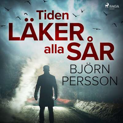 Tiden läker alla sår - Björn Persson.