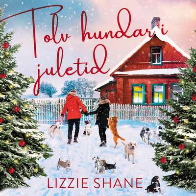 Tolv hundar i juletid - Lizzie Shane.