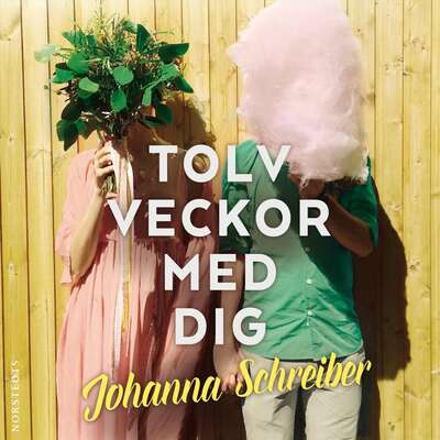 Tolv veckor med dig - Johanna Schreiber.