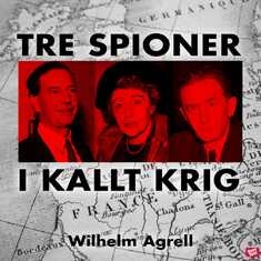 Tre spioner i kallt krig