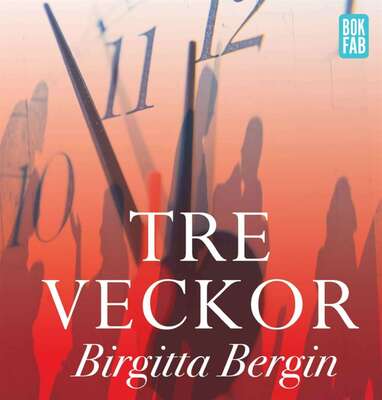 Tre veckor - Birgitta Bergin.