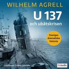 U 137 och ubåtskrisen