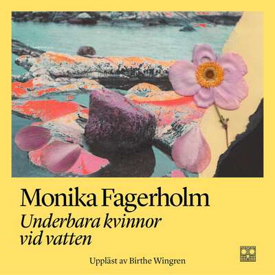 Underbara kvinnor vid vatten - Monika Fagerholm.