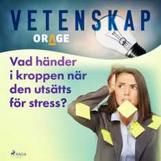 Vad händer i kroppen när den utsätts för stress?