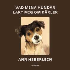 Vad mina hundar lärt mig om kärlek