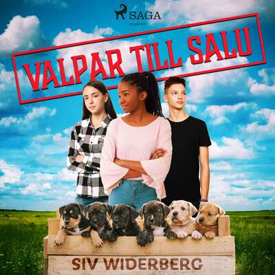 Valpar till salu - Siv Widerberg.