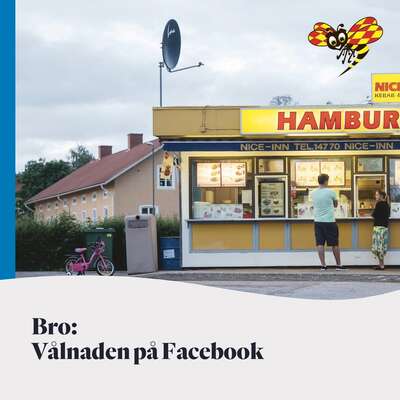 Vålnaden på Facebook - Federico Moreno.