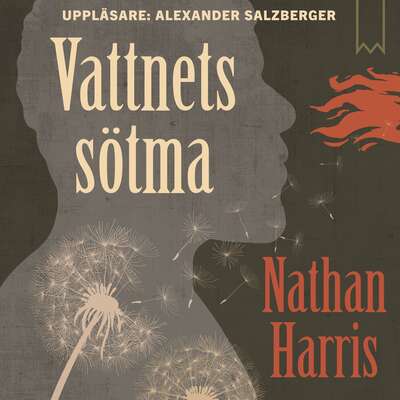 Vattnets sötma - Nathan Harris.