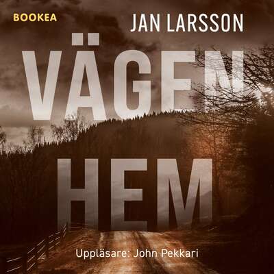 Vägen hem - Jan Larsson.