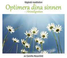 Vägledd meditation: Optimera dina sinnen