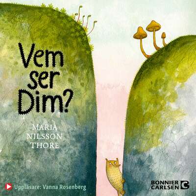 Vem ser Dim? - Maria Nilsson Thore.