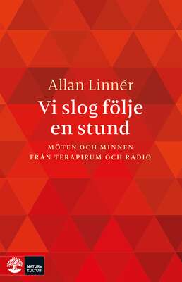 Vi slog följe en stund : Möten och minnen från terapirum och radio