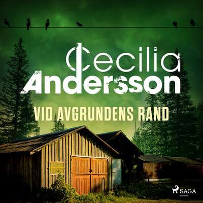 Vid avgrundens rand - Cecilia Andersson.