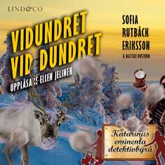 Vidundret vid Dundret