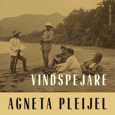 Vindspejare : boken om Abel målaren - Agneta Pleijel.