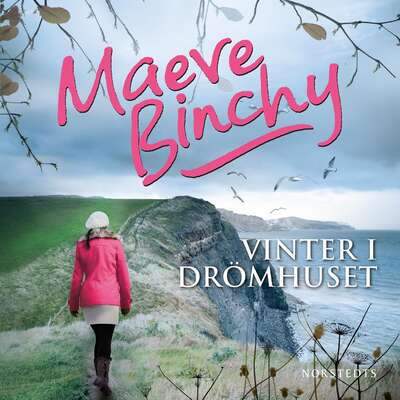 Vinter i drömhuset - Maeve Binchy.