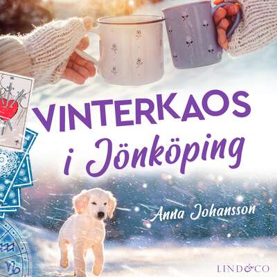 Vinterkaos i Jönköping - Anna Johansson.